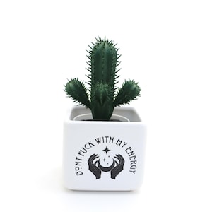 May include: A small, dark green cactus plant in a white square ceramic pot. The pot has the text "DON'T FUCK WITH MY ENERGY" in black, along with a graphic of hands holding a crescent moon and star.