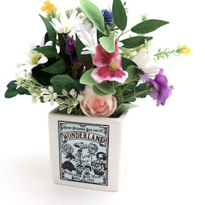 Alice&#39;s Adventures in Wonderland Planter, Golden Afternoon Seed Company, indoor planter, vase