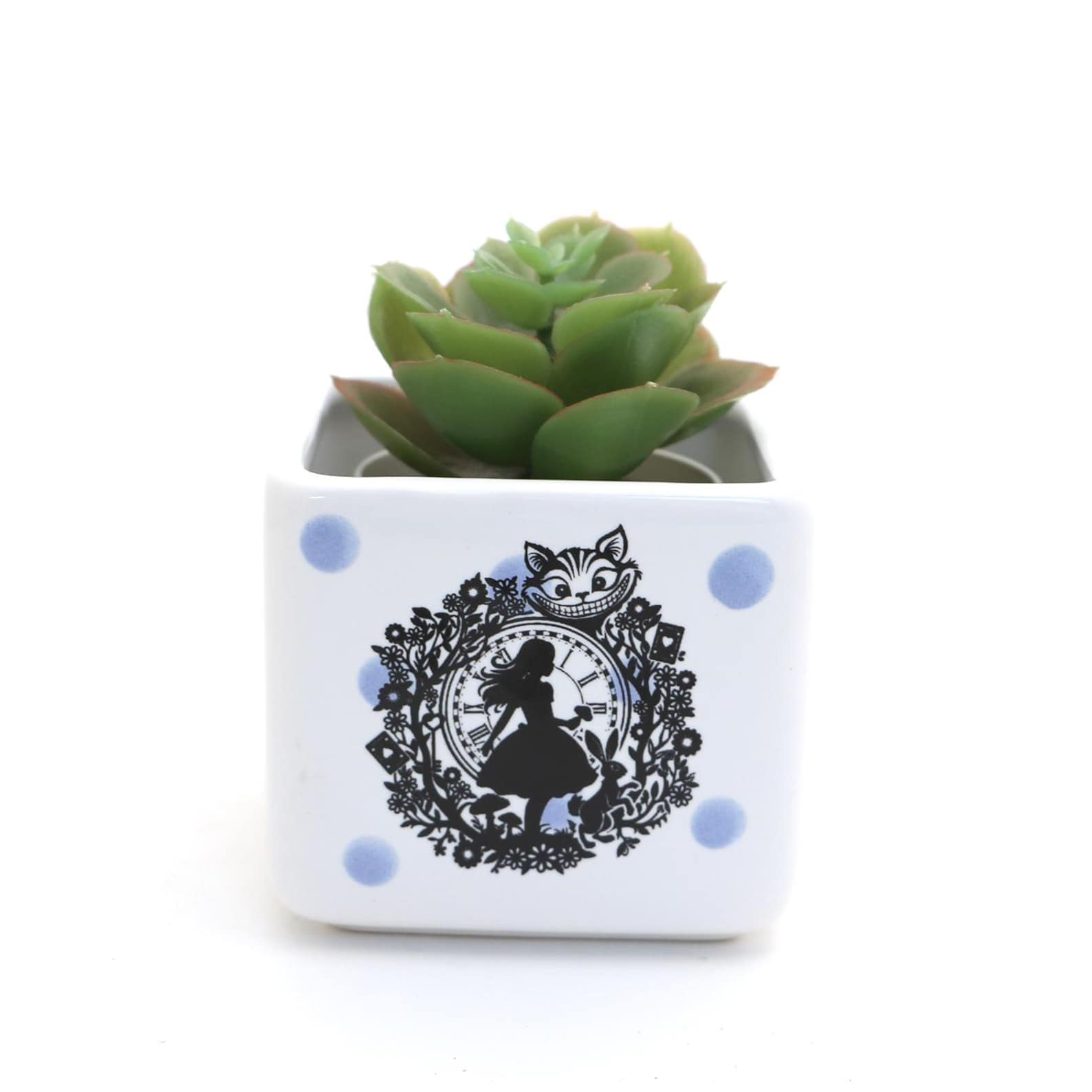 Small planter: Alice in Wonderland, succulent mini pot