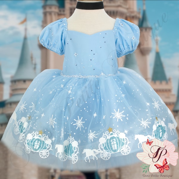 Cinderella Princess Dress, Birthday Party, Costume Ball Gown, Photo Shoot, Vintage length, Hair Bow, Velvet Choker, Gift girl toddler Baby