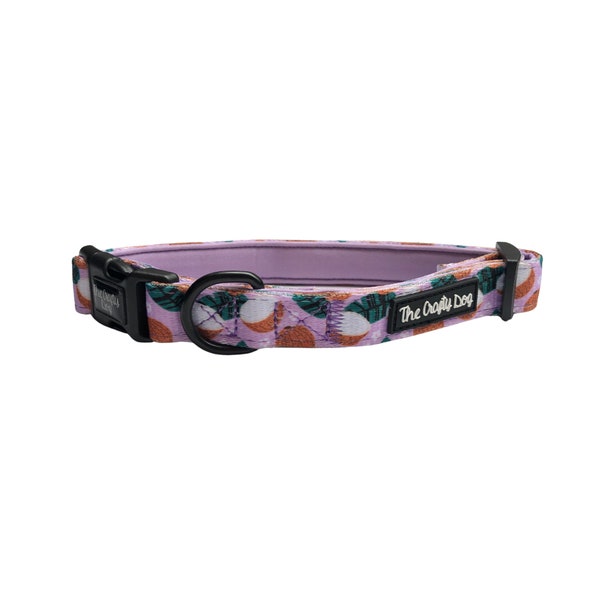 The Crafty Dog Co - Coconutty Dog Collar - Puppy Accessory Autumn Summer Mint Lilac Purple Coconuts Tropical Daisy Leaves UK