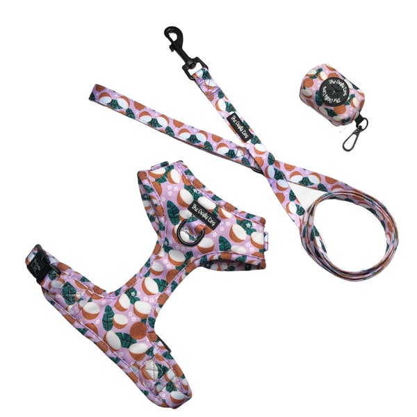 The Crafty Dog Co - Coconutty Adjustable Harness Leash Poop Bag Holder Set - bundle Lead Adventure Lilac Purple Coconuts Tropical Green Pup