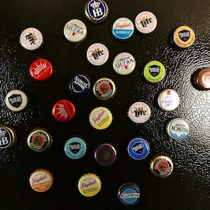 Multiple Options Beer Fridge Magnets 6-Pack
