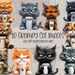 Grumpy Cat Clipart Bundle 10 High Quality Digital Cat Images Instant ...