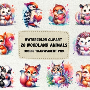 Aquarell Waldtiere Clipart Bundle, Aquarell Clipart, transparente PNG, Sublimation, POD