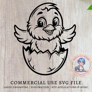 Lindo archivo SVG de pollito, diseño de huevo roto de pájaro bebé, clipart de Pascua, ilustración de animales, archivo de corte, descarga digital