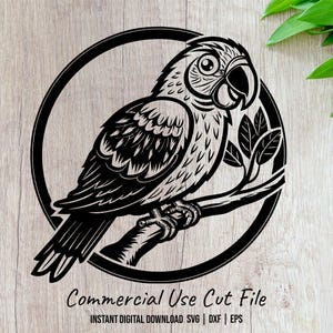 Parrot SVG: Tropical Bird Vector Clipart (Digital Download)