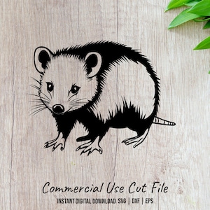 Opossum Animal Clipart Commercial Use SVG Design