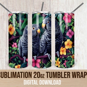 Gobelet en sublimation perroquet gris d&#39;Afrique : oiseau tropical PNG (téléchargement numérique)