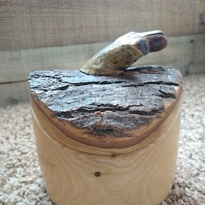 The Acorn Trinket Box
