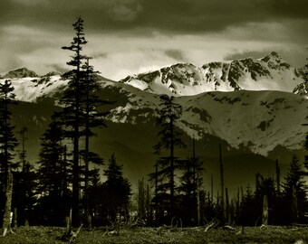 resurrection bay kenai alaska fjord snow ocean beach pine trees mountains clouds sky peaks seward ak peninsula photograph black and white