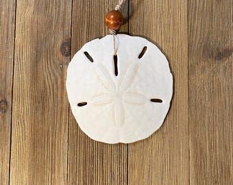 Sand Dollar Ornament