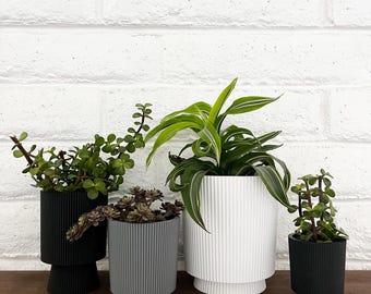 Moderne 3D-geprinte plantenpot met afvoer, minimalistische plantenbak, plantenbakken, housewarmingcadeau, Moederdagcadeau, kamerplantpot