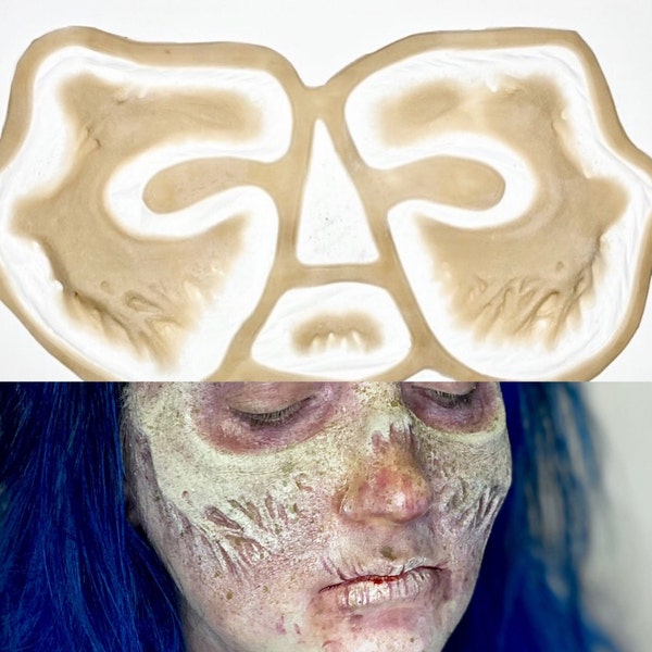 Zombie Ghoul Silicone Prosthetics Set Encapsulated Appliances SFX Makeup