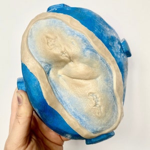 Può includere: Uno stampo dentale blu e beige con una superficie testurizzata. Lo stampo ha la forma di una bocca e ha un bordo blu.