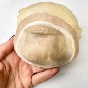 Protesi del mento di scimmia/scimmia, protesi incapsulata in silicone