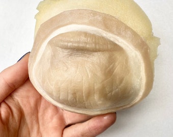 Monkey/Ape Chin Prosthetic, Silicone encapsulated prosthetic