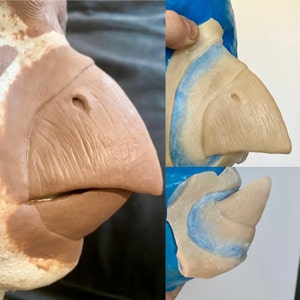Beak Bird Nose Prosthetic, Encapsulated Silicone Prosthetic