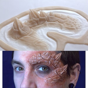 Dragon/scales/lizard half face Prosthetic, SFX Makeup, silicone appliance, halloween, special effects, cosplay, LARP