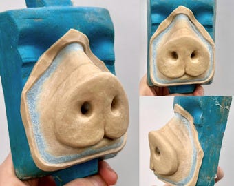 Pig Nose Prosthetic, Encapsulated Silicone Appliance