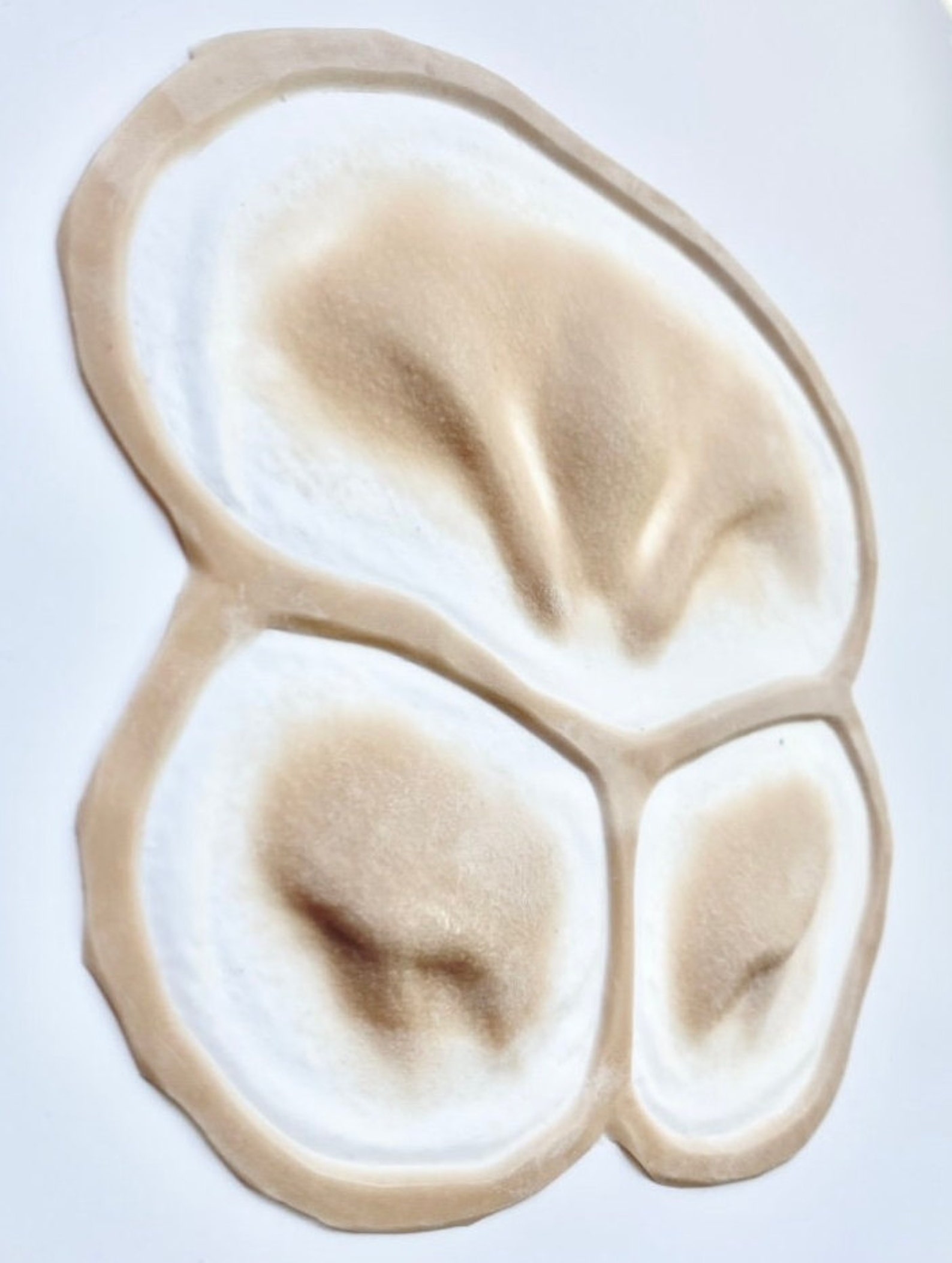 Alien Forehead and Cheekbones Silicone Prosthetics Set - Etsy