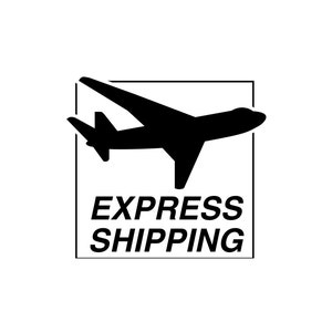 USA / CANADA/ AUSTRALIA  only Mini package Express delivery upgrade/ups/ shipping service (without product)/super fast shipment /trackable