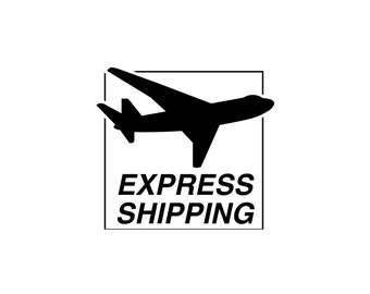 Mise à niveau de livraison express/ups/service d'expédition express (sans produit)/livraison express d'expédition super rapide/traçable