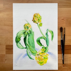 A3 - Parrot Tulips /Papageitulpen - limited artprint /limitierter Kunstdruck - Aquarellmalerei