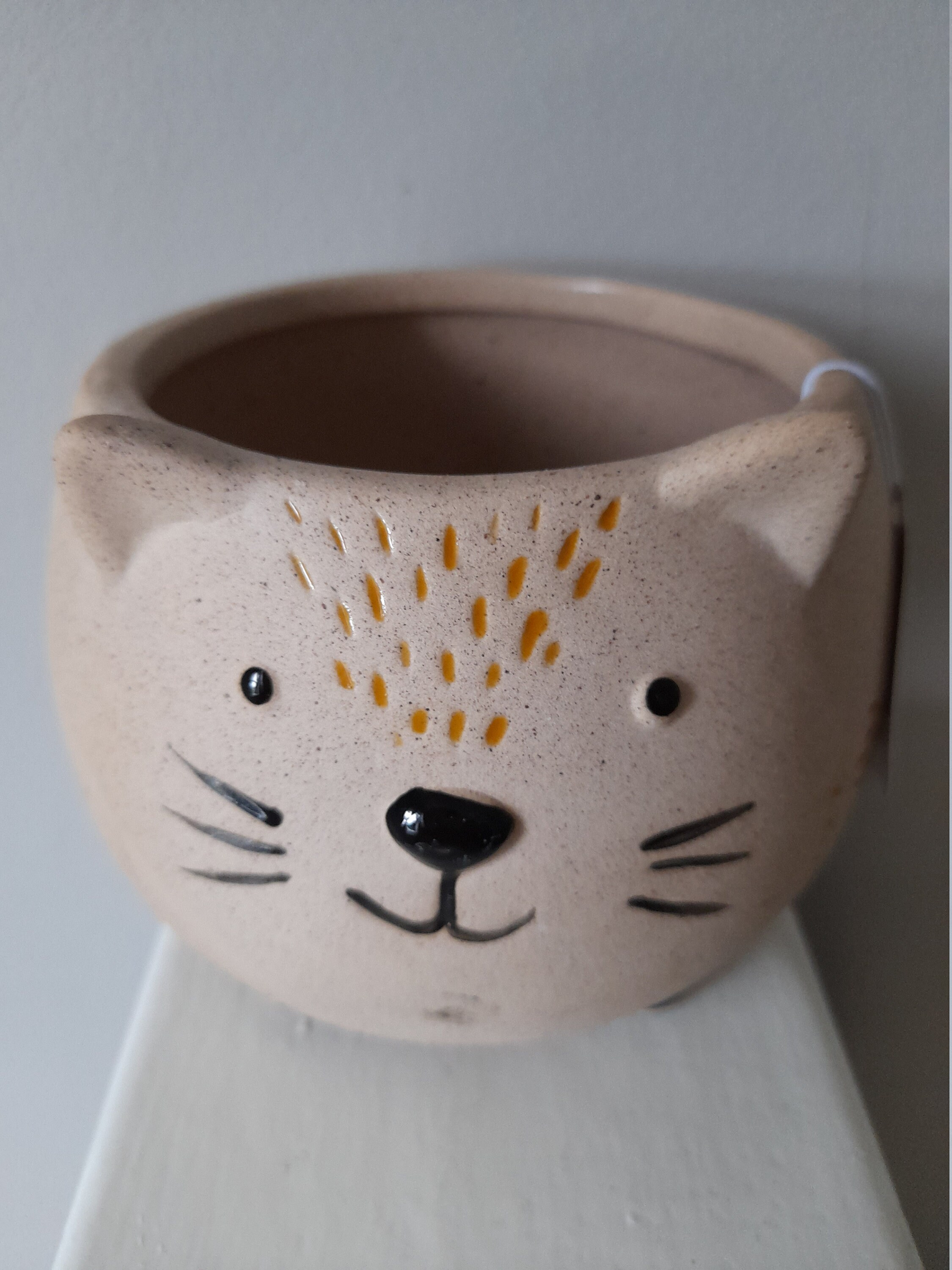 Cat Planter. Indoor Cat Planter. Ceramic Planters. Cats. Etsy
