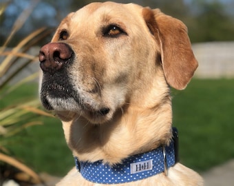 Blue Spot Dog Collar