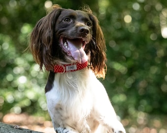 Red Spot Dog Collar