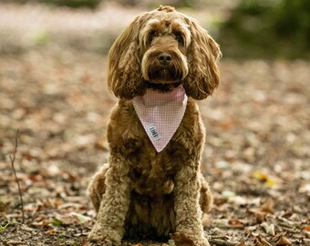 Pink Gingham Dog Bandana