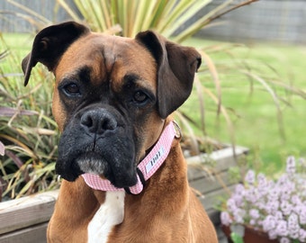 Pink Gingham Dog Collar