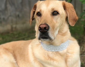 Grey Floral Dog Collar