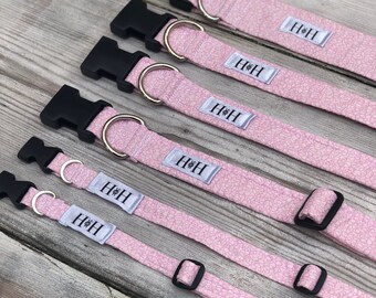 Pink Wiggles Dog Collar