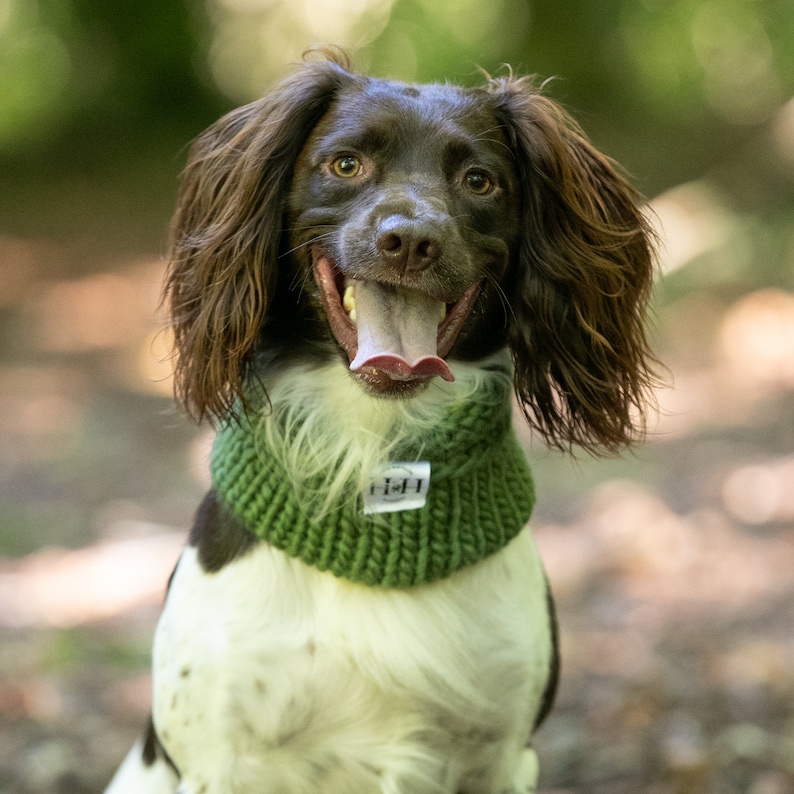 Luxury Hand Knitted 100% Merino Wool Dog Snood Olive image 1