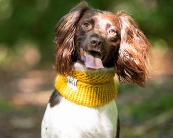 Luxury Hand Knitted 100% Merino Wool Dog Snood - Mustard