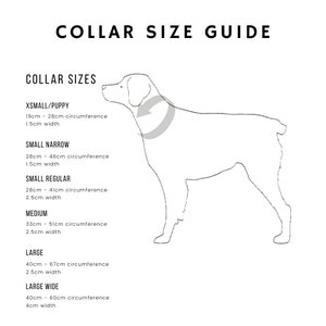 pet collar size guide