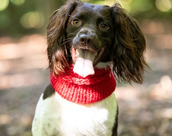 Luxury Hand Knitted 100% Merino Wool Dog Snood - Scarlet