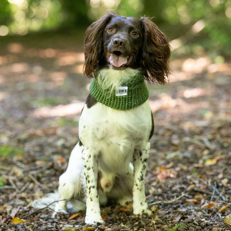 Luxury Hand Knitted 100% Merino Wool Dog Snood Olive image 4