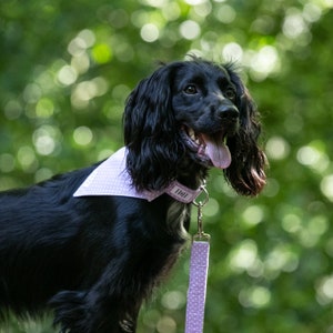 Lilac Polka Dot Dog Bandana