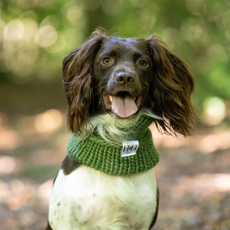 Luxury Hand Knitted 100% Merino Wool Dog Snood Olive image 3