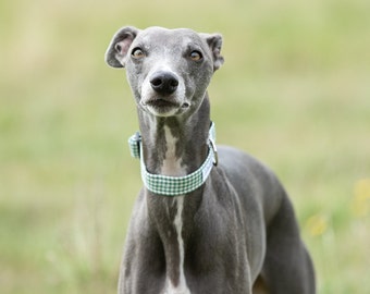 Green Gingham Dog Collar