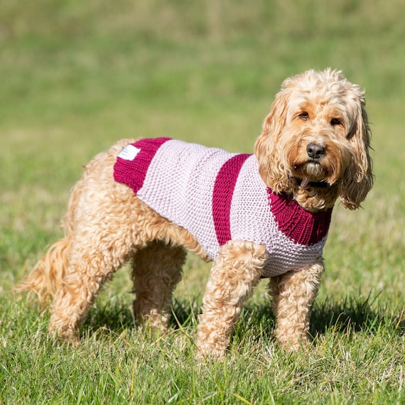 Puppy jumpers australia hot sale