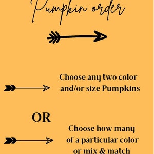 Custom Cozy Pumpkins