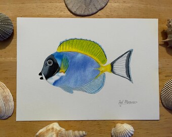 Original 5x7in Powder Blue Tang Drawing