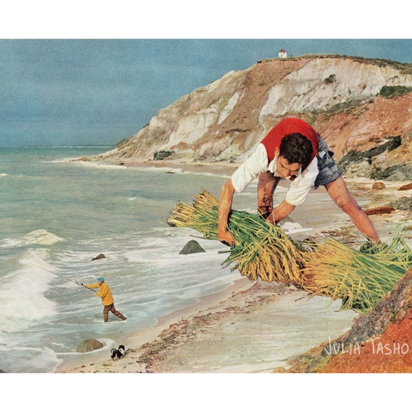 Aquinnah, Massachusetts - art print of original collage art - 8x12