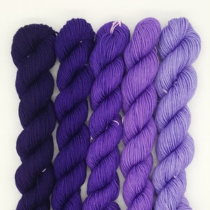 Dark Purple Gradient Set | Five (5) 20g Mini-skeins | Hand Dyed Yarn | Merino wool