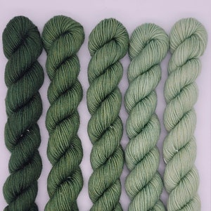 May include: Five skeins of yarn in shades of green. The yarn is a gradient from dark green to light green.