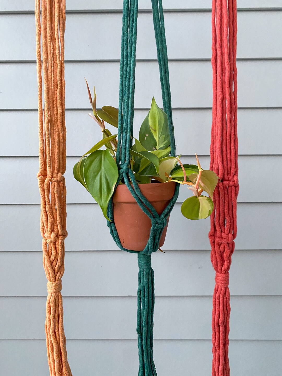 Macrame Plant Hanger | Indoor Hanging Planter | Fall Home Decor ...